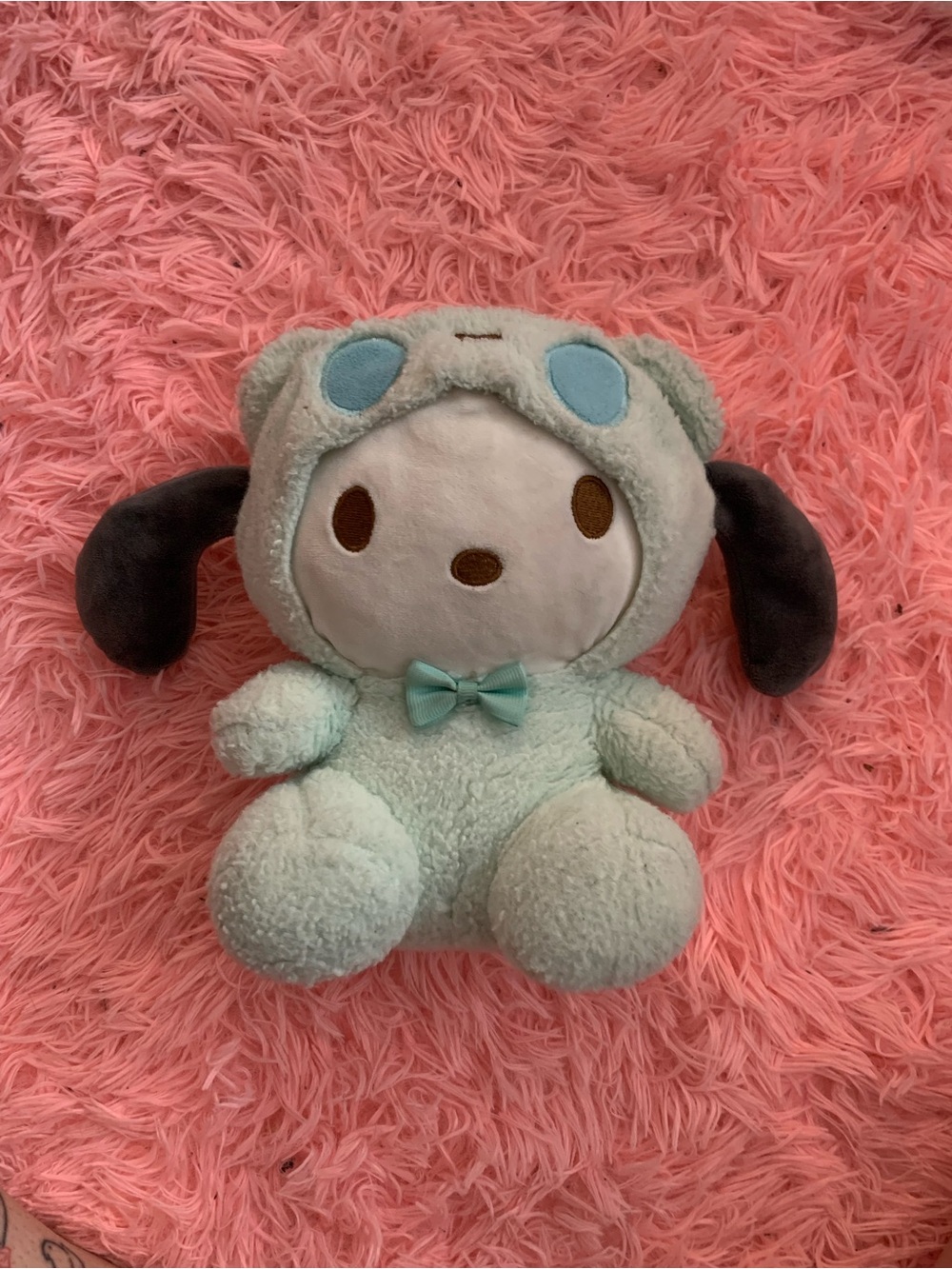 Pochacco plushie
